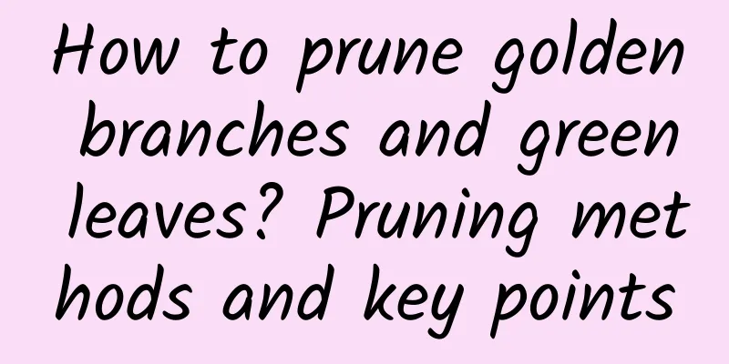 How to prune golden branches and green leaves? Pruning methods and key points