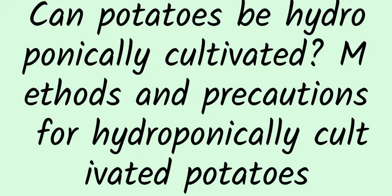 Can potatoes be hydroponically cultivated? Methods and precautions for hydroponically cultivated potatoes