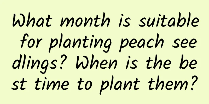 What month is suitable for planting peach seedlings? When is the best time to plant them?