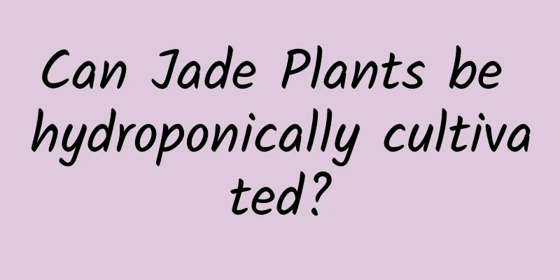 Can Jade Plants be hydroponically cultivated?