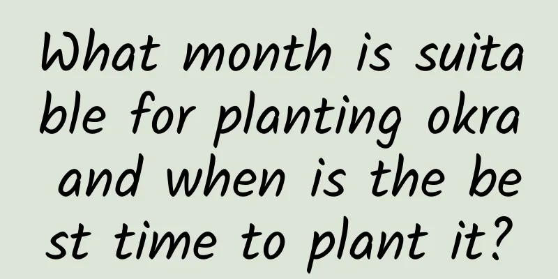 What month is suitable for planting okra and when is the best time to plant it?