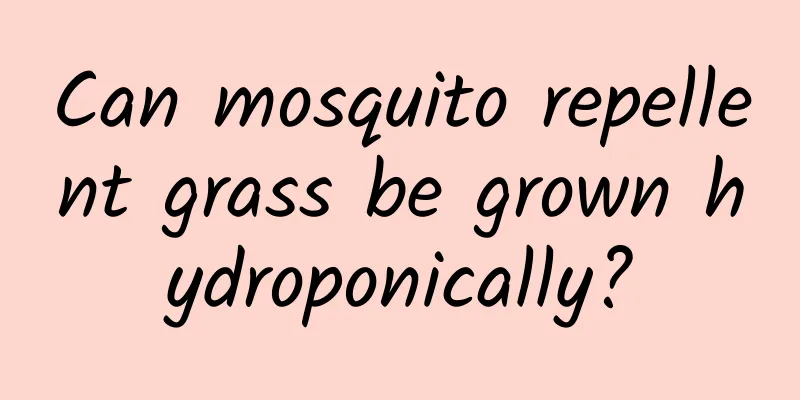 Can mosquito repellent grass be grown hydroponically?