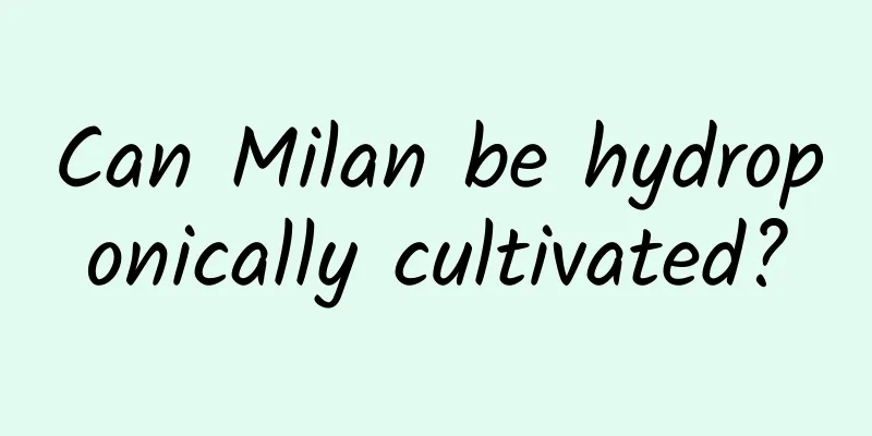 Can Milan be hydroponically cultivated?