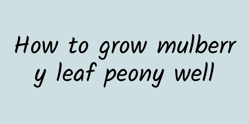 How to grow mulberry leaf peony well
