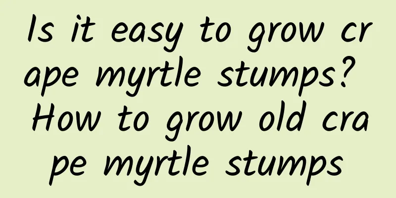 Is it easy to grow crape myrtle stumps? How to grow old crape myrtle stumps