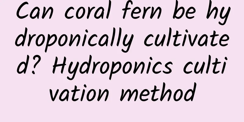 Can coral fern be hydroponically cultivated? Hydroponics cultivation method