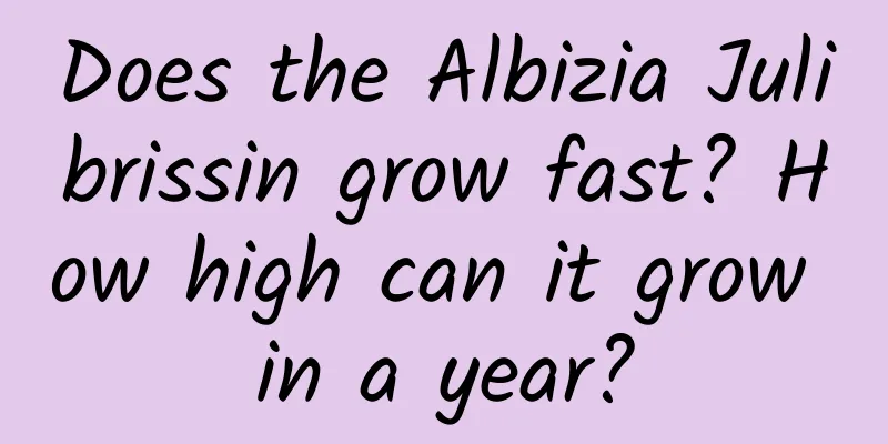 Does the Albizia Julibrissin grow fast? How high can it grow in a year?