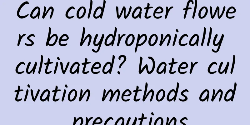 Can cold water flowers be hydroponically cultivated? Water cultivation methods and precautions