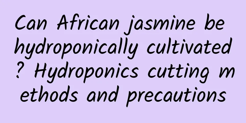 Can African jasmine be hydroponically cultivated? Hydroponics cutting methods and precautions