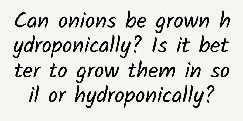 Can onions be grown hydroponically? Is it better to grow them in soil or hydroponically?