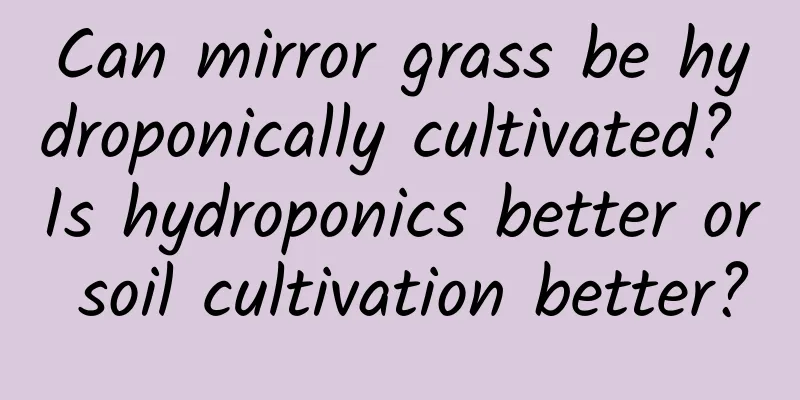 Can mirror grass be hydroponically cultivated? Is hydroponics better or soil cultivation better?