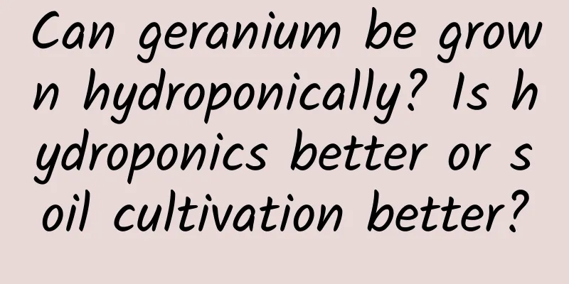 Can geranium be grown hydroponically? Is hydroponics better or soil cultivation better?