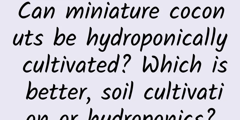 Can miniature coconuts be hydroponically cultivated? Which is better, soil cultivation or hydroponics?
