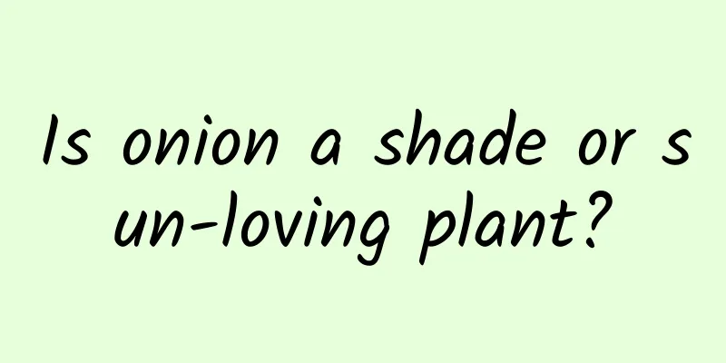 Is onion a shade or sun-loving plant?