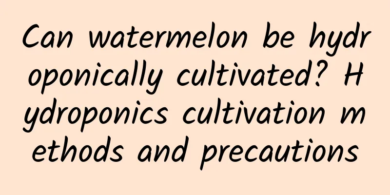 Can watermelon be hydroponically cultivated? Hydroponics cultivation methods and precautions