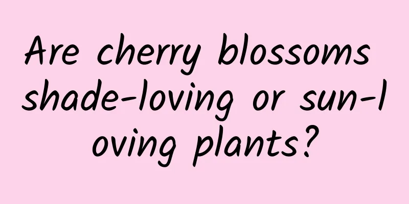 Are cherry blossoms shade-loving or sun-loving plants?