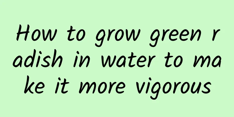 How to grow green radish in water to make it more vigorous