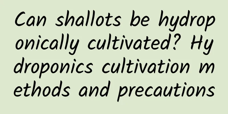 Can shallots be hydroponically cultivated? Hydroponics cultivation methods and precautions