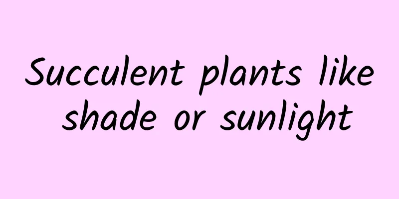 Succulent plants like shade or sunlight