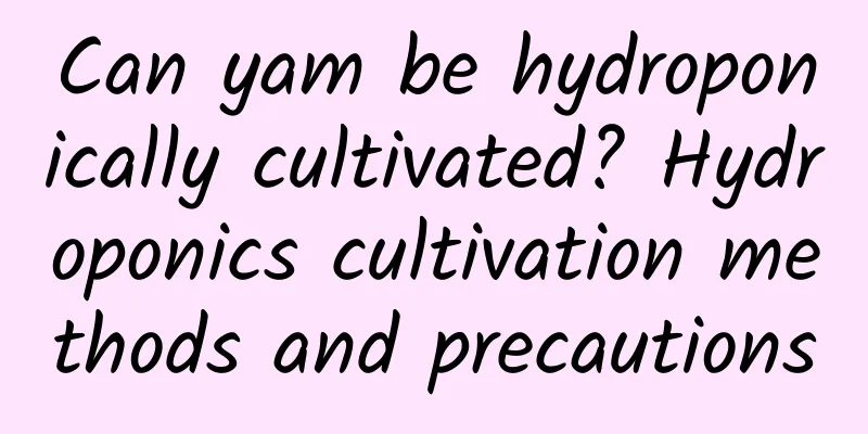 Can yam be hydroponically cultivated? Hydroponics cultivation methods and precautions