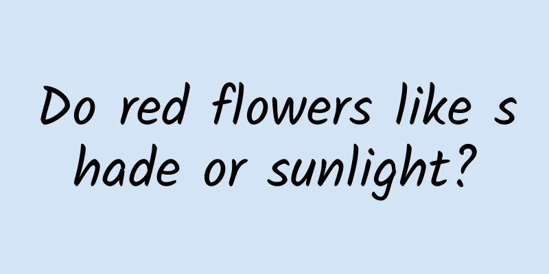 Do red flowers like shade or sunlight?