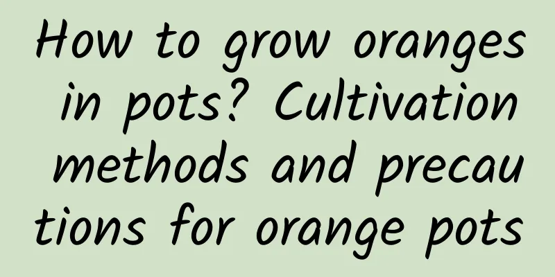 How to grow oranges in pots? Cultivation methods and precautions for orange pots