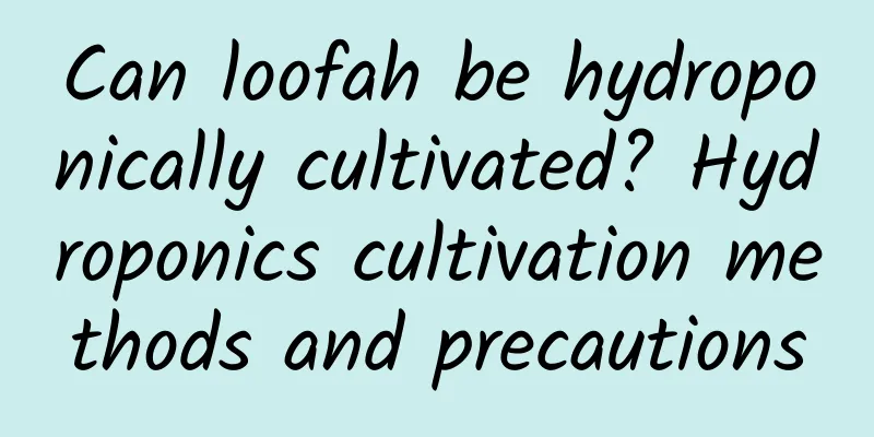 Can loofah be hydroponically cultivated? Hydroponics cultivation methods and precautions