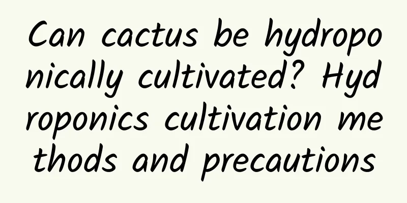 Can cactus be hydroponically cultivated? Hydroponics cultivation methods and precautions