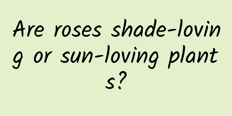 Are roses shade-loving or sun-loving plants?