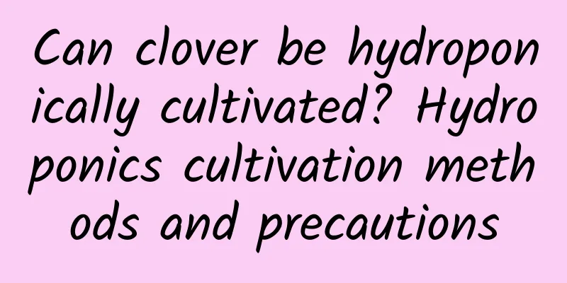 Can clover be hydroponically cultivated? Hydroponics cultivation methods and precautions