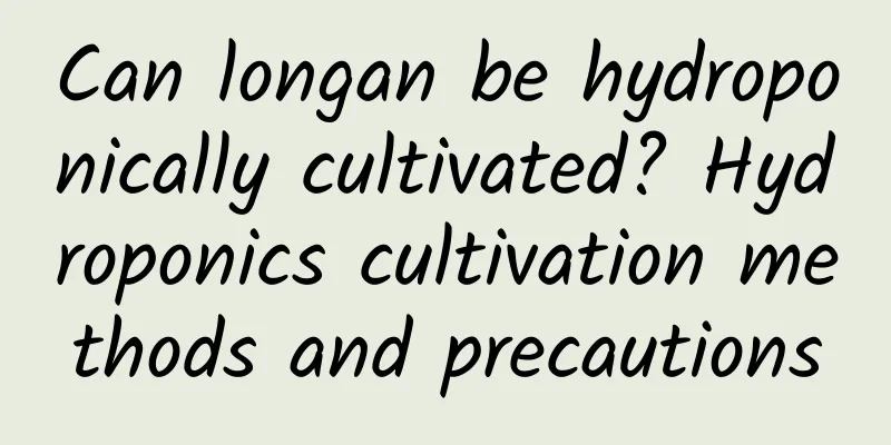 Can longan be hydroponically cultivated? Hydroponics cultivation methods and precautions