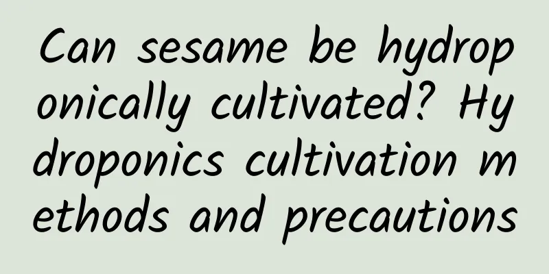 Can sesame be hydroponically cultivated? Hydroponics cultivation methods and precautions