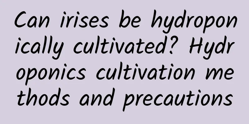 Can irises be hydroponically cultivated? Hydroponics cultivation methods and precautions