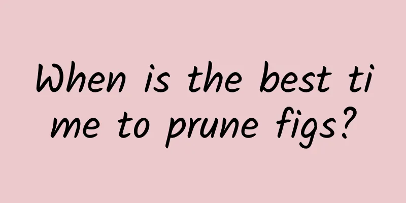 When is the best time to prune figs?