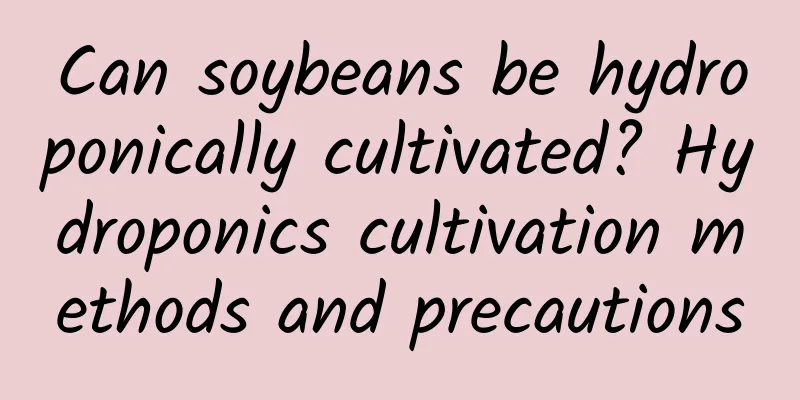 Can soybeans be hydroponically cultivated? Hydroponics cultivation methods and precautions