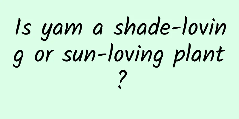 Is yam a shade-loving or sun-loving plant?