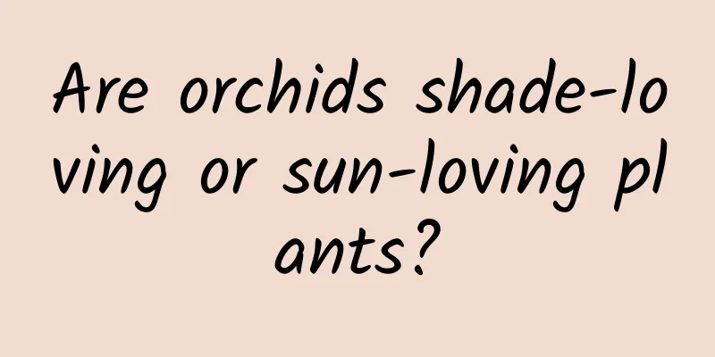Are orchids shade-loving or sun-loving plants?