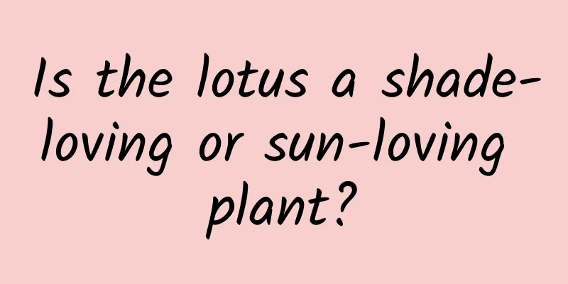 Is the lotus a shade-loving or sun-loving plant?