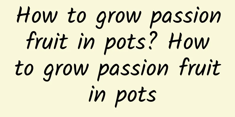 How to grow passion fruit in pots? How to grow passion fruit in pots