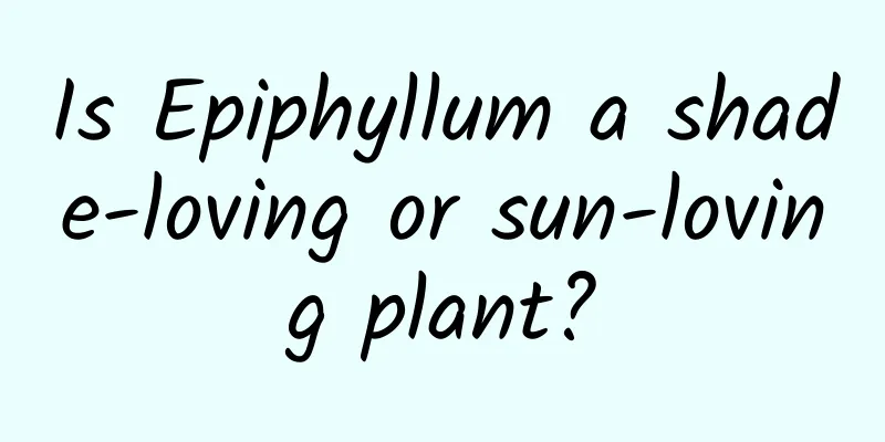 Is Epiphyllum a shade-loving or sun-loving plant?