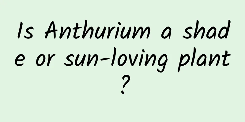 Is Anthurium a shade or sun-loving plant?