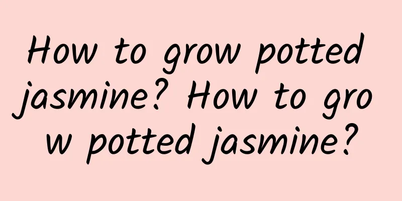 How to grow potted jasmine? How to grow potted jasmine?
