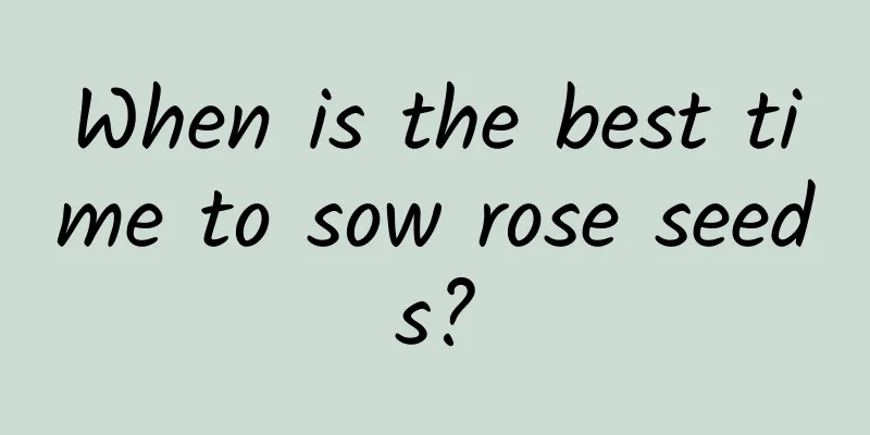 When is the best time to sow rose seeds?