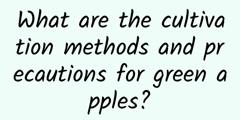 What are the cultivation methods and precautions for green apples?