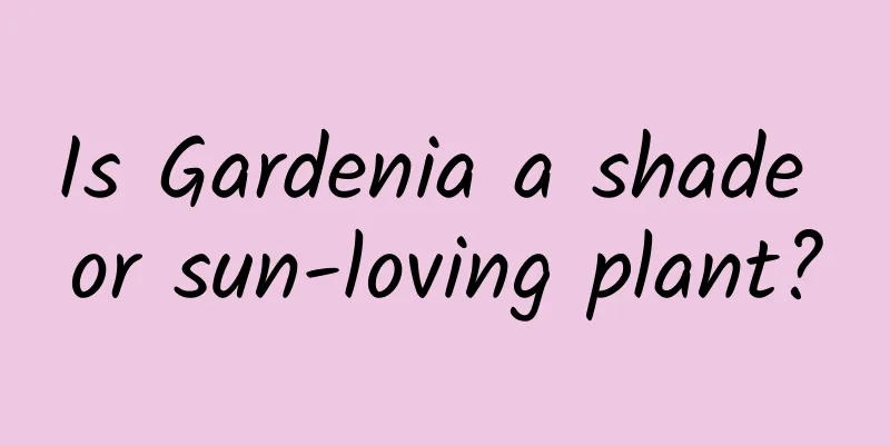 Is Gardenia a shade or sun-loving plant?