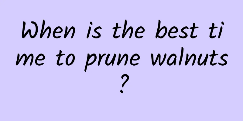 When is the best time to prune walnuts?