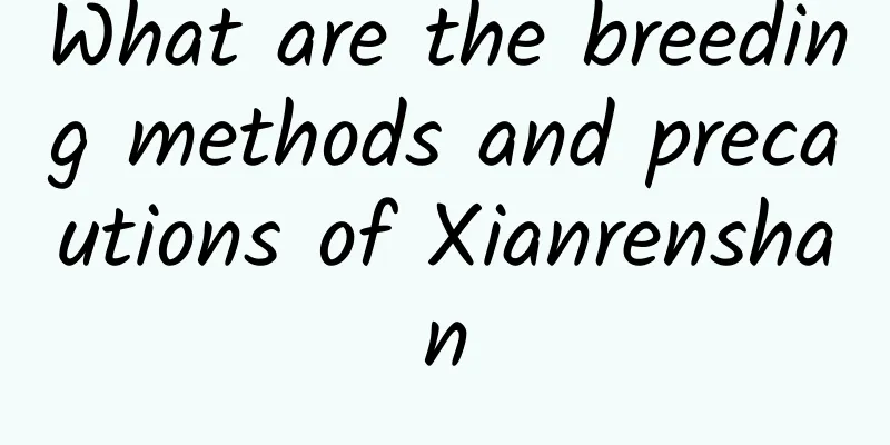 What are the breeding methods and precautions of Xianrenshan