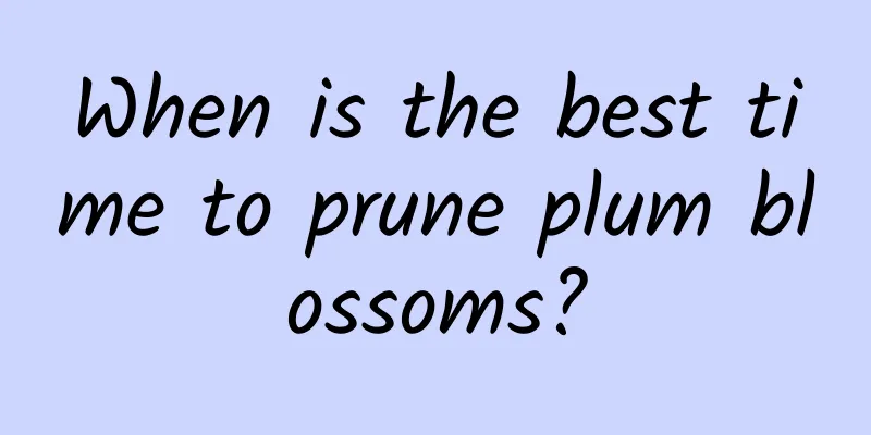 When is the best time to prune plum blossoms?