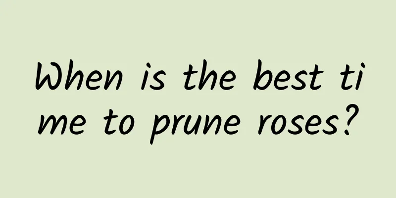 When is the best time to prune roses?