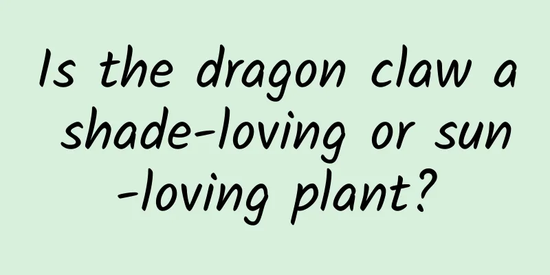 Is the dragon claw a shade-loving or sun-loving plant?
